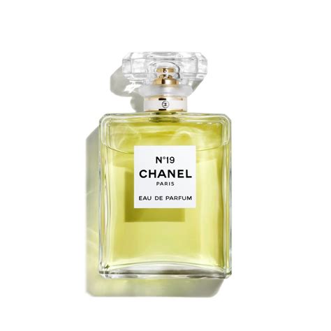 chanel n 19 eau de parfum spray 100ml|is Chanel no 19 discontinued.